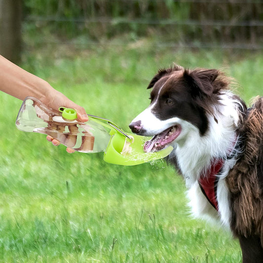 Leak Proof Portable Pet Water Dispenser