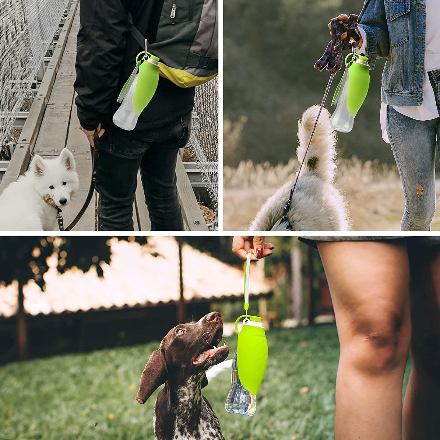 Leak Proof Portable Pet Water Dispenser