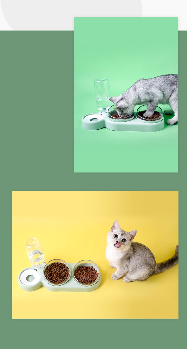 2 in 1 pet feeder & water dispenser